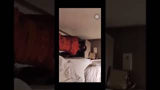 Download lagu video viral asusila kebaya merah durasi 16 menit mp3