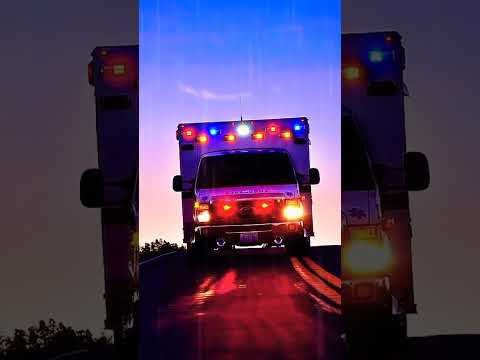 Cat Showdown: AI Magic Unveils the Ultimate Feline Tale! 🐾"#cat #cartoon #cute