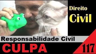 Direito Civil - Aula #117 - CULPA [Elementos da Responsabilidade Civil] (É isso!)
