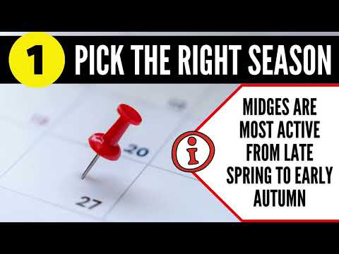 How To Avoid Midges When Camping in Scotland | The Pest Experts Ayrshire