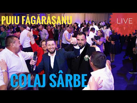 Puiu Fagarasanu🔴Colaj Sârbe 2024💯Live ☞Nunta Gabriel & Daria