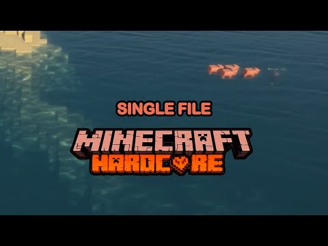 EPIC MINECRAFT MOVING IN LINES - You won't believe what happens!