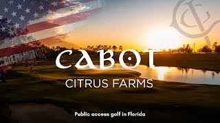 Floridian Adventures Pt 2: Cabot Citrus Farms