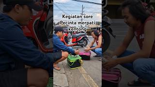 Download lagu ngetren merpati kentong #merpatikentong #fyp #shortvideo mp3