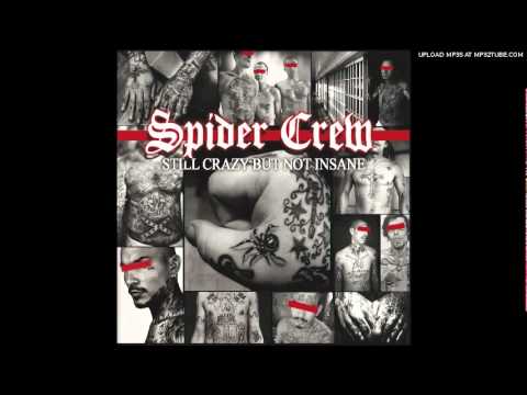 Spider Crew - Our Movement