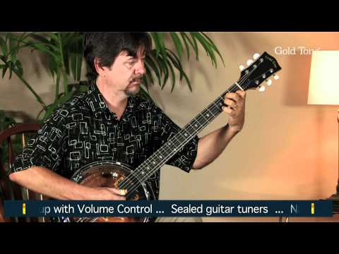 GT-500: Banjitar with Case | Gold Tone Music Group GT-500: Banjitar with Case | Gold Tone Music Group