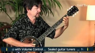 Gold Tone GT-500 Electric Banjitar