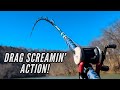 40 Minutes Of Monster Catfish Action Giant Catfish Compilation