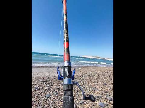 pesca en comodoro Rivadavia Chubut caleta cordova