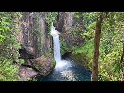 image-Can you swim in toketee Falls Oregon?