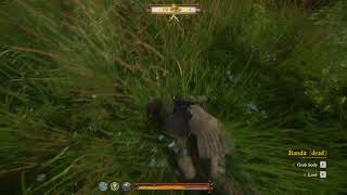 Kingdom Come: Deliverance. Finding the Moldavite Stone for the engraver in Sassau.