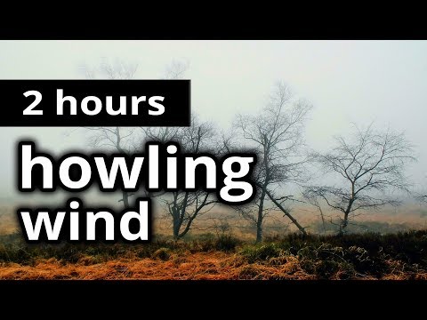 WIND SOUNDS: "Howling Wind" - A whistling wind outside on the bleak moors - RELAXING SLEEP SOUNDS