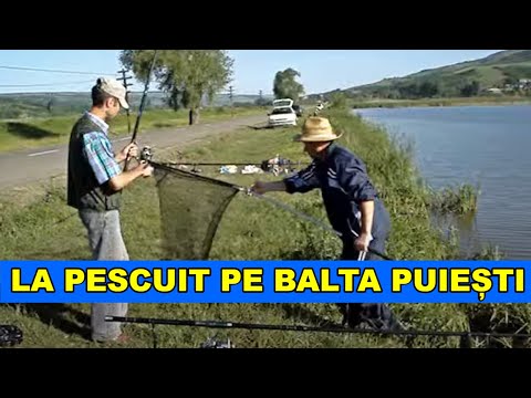 Pescuit la crap pe balta Iezer Puiesti langa Barlad Vaslui