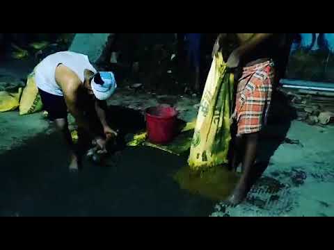 Men at work | Joe Till