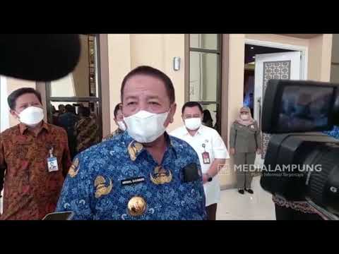 Arinal Batasi Hilir Mudik Hewan Ternak dari Luar Daerah