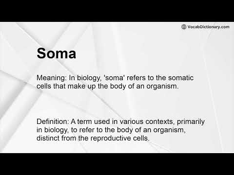 Soma Meaning