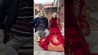 Download lagu 😜😁wait for end twist #funnyDog #angry mp3 Download lagu 😜😁wait for end twist #funnyDog #angry mp3