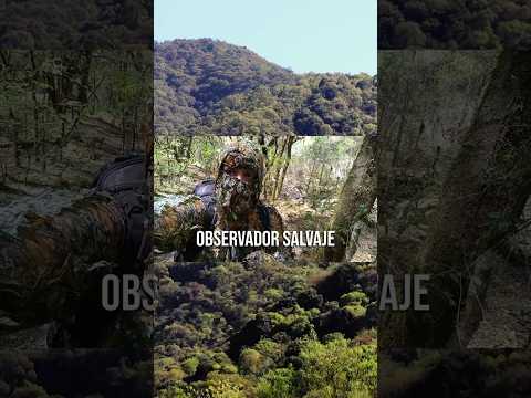 ¡Salida de observación de fauna en Yungas de Villa San Lorenzo, Salta🇦🇷!