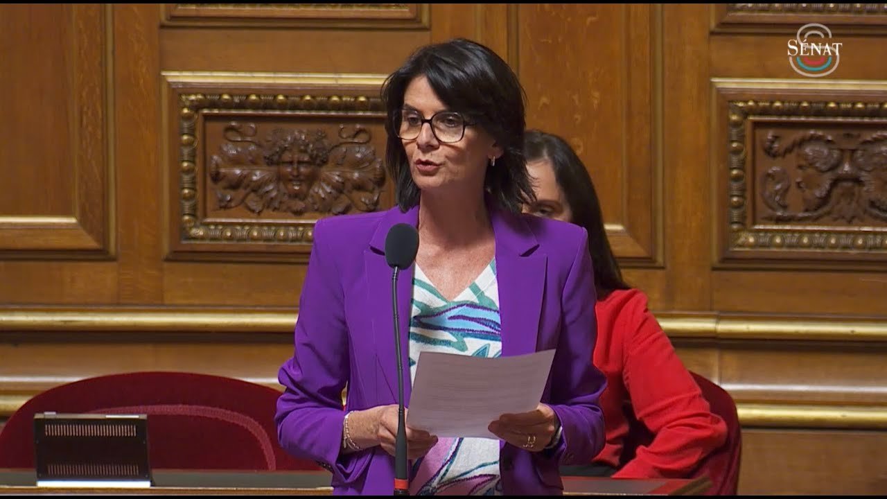 Intervention d’Anne VENTALON lors du débat au Sénat sur la santé mentale