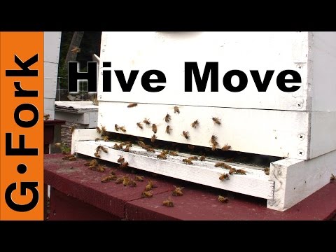 , title : 'Move a beehive a short distance - Beekeeping 101 - GardenFork'