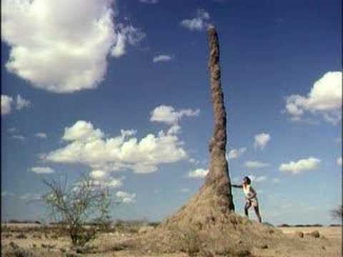 Richard Dawkins - Designed and Designoid Objects (Part 2-6)