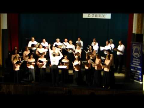 Flacaruia - Radu Paladi