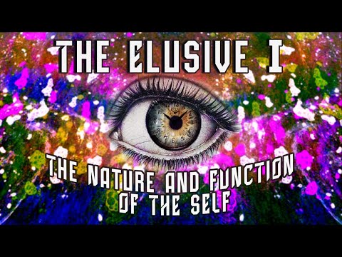 The Elusive I - Part 1 - The Cognitive Science Show