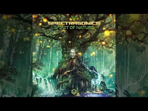 Spectra Sonics vs Hypnoise - Face to Face