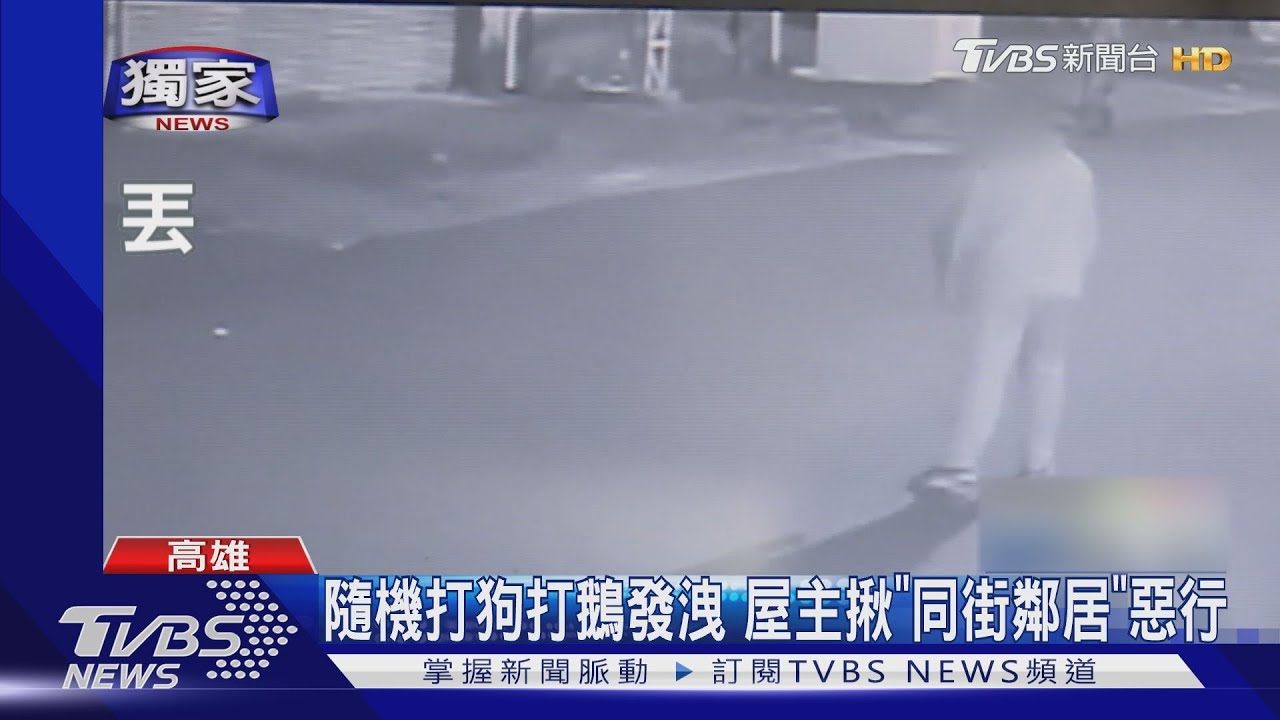 隨機打狗打鵝發洩　屋主揪「同街鄰居」惡行
