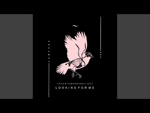 Looking for Me (Original Mix)