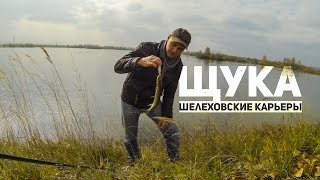 Щука на синявинских карьерах как ловить
