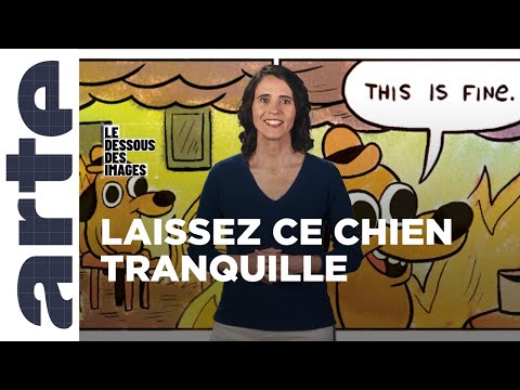 "This is fine" : histoire d'un mème politique - Le Dessous des images - ARTE