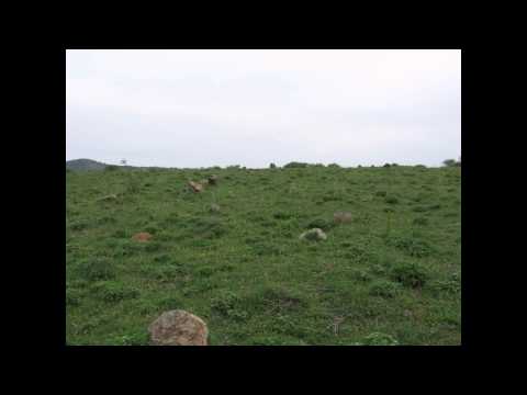 Two old Turkish cemeteries in Dobroudja