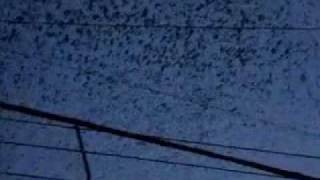 The Lee Bats - As Andorinhas (Secos & Molhados - Cassiano Ricardo)