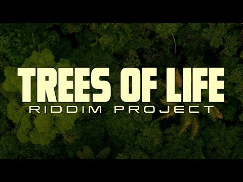 JAH FROZEN, NYA, INEZI - Trees of Life Project Medley