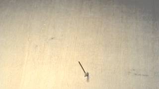 Трейлер превью