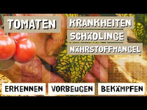 Die Salbe von nejrodermita für die Schwangere Die Anwendung beim Ekzem asd 2 Anwendung für den Menschen