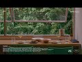 Playlist 여유로운 오후 낮술과 친구 그리고 음악