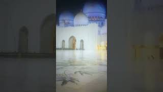 কি ধাক্কা মারতে মন চায় মারেন ধাক্কা কারণ এটা তো আল্লাহর নাম 🕋🕋 #islam #islamic #shortvideo