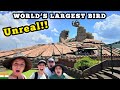 We Visited The LARGEST Bird Statue In The WORLD JATAYU Kerala India