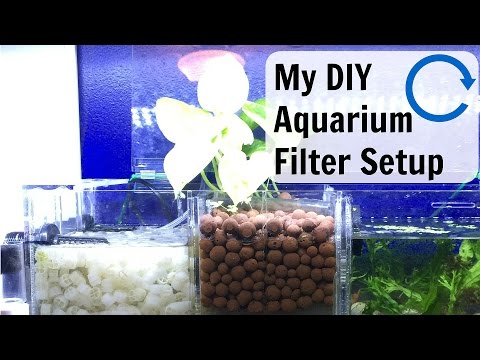 My DIY Aquarium Filter Setup