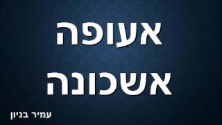 עמיר בניון