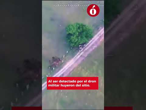 Frustran atentado contra el oleoducto Bicentenario en Fortul, Arauca