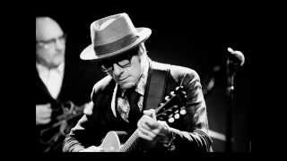 Elvis Costello - The Element Within Her