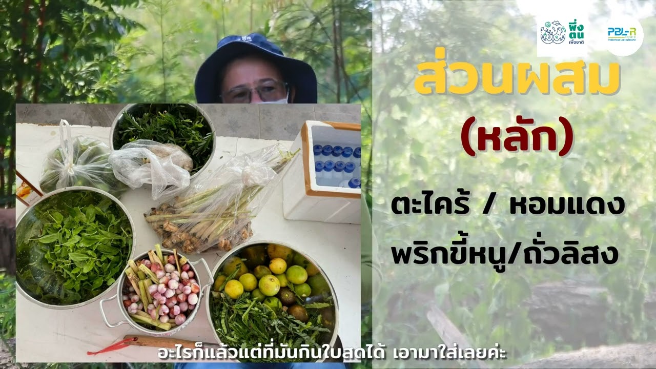 พึ่งตน เพื่อชาติ Model คุณวลีลักษณ์ เจริญเสียง (เชอรี่)  พึ่งตน เพื่อชาติ รุ่น 1 บ้านน้อยกลางป่าใหญ่