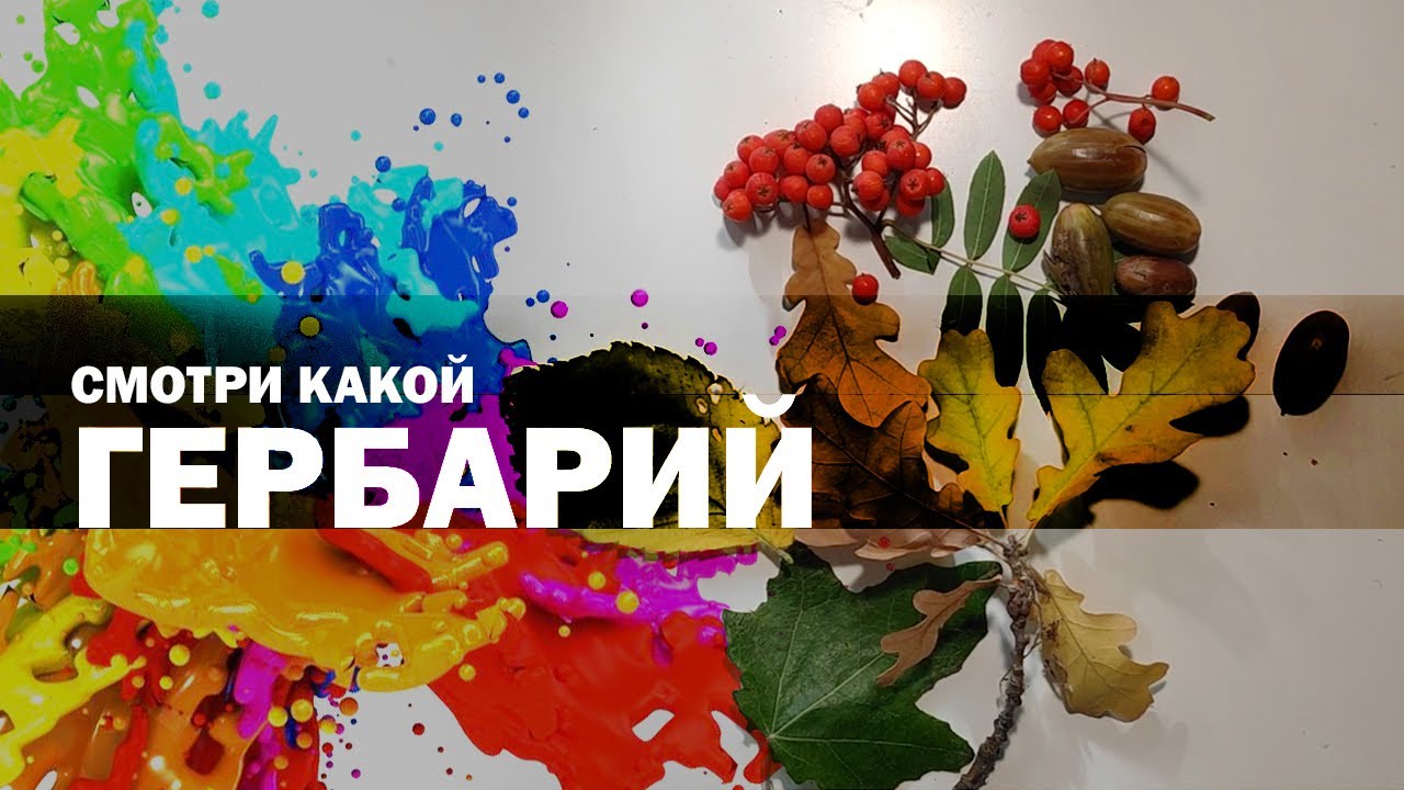 Как сделать гербарий? Гербарий из листьев своими руками. Гербарий для школы.