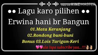 Download lagu lagu karo pilihan-erwina hani br bangun mp3 Download lagu lagu karo pilihan-erwina hani br bangun mp3