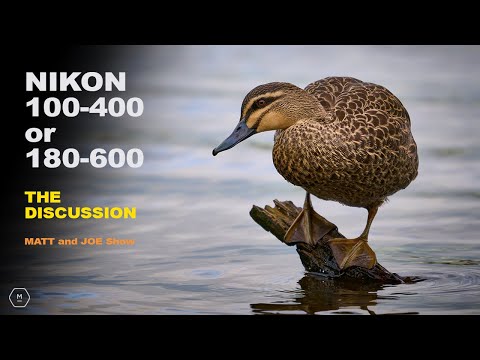 NIKON Z 100-400 or 180-600 | Which Should You Choose? | Discussion with Matt and Joe | Matt Irwin