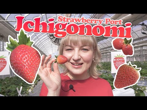 日本門戶的草莓採摘設施！ (Strawberry Picking Facility at the Gateway to Japan!)