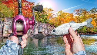 Fishing With ONLY Big Baits For Feeding FALL Fish (Huge Bites)